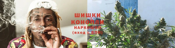 mdpv Белокуриха