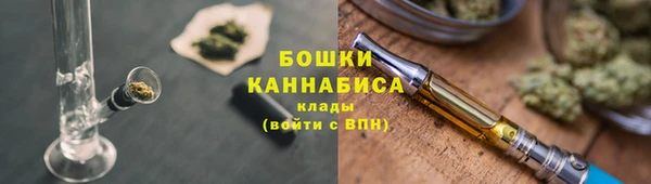 mdpv Белокуриха