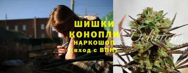 mdpv Белокуриха