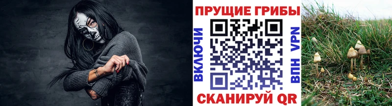 Галлюциногенные грибы мицелий  Окуловка 